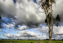 开云体育官网：利瓦科维奇：和法国的次回合比赛会很难，我们会尽力争取.