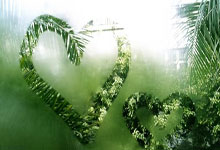 “三八”国际妇女节｜体育“她”力量，不可限量.