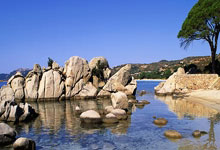 开云体育官网：罗马诺：是否买断桑乔由切尔西决定，买断费约2500万英镑.